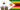 Rainbow-coloured outlines of a keyboard and a camera next to the Zimbabwe’s national flag