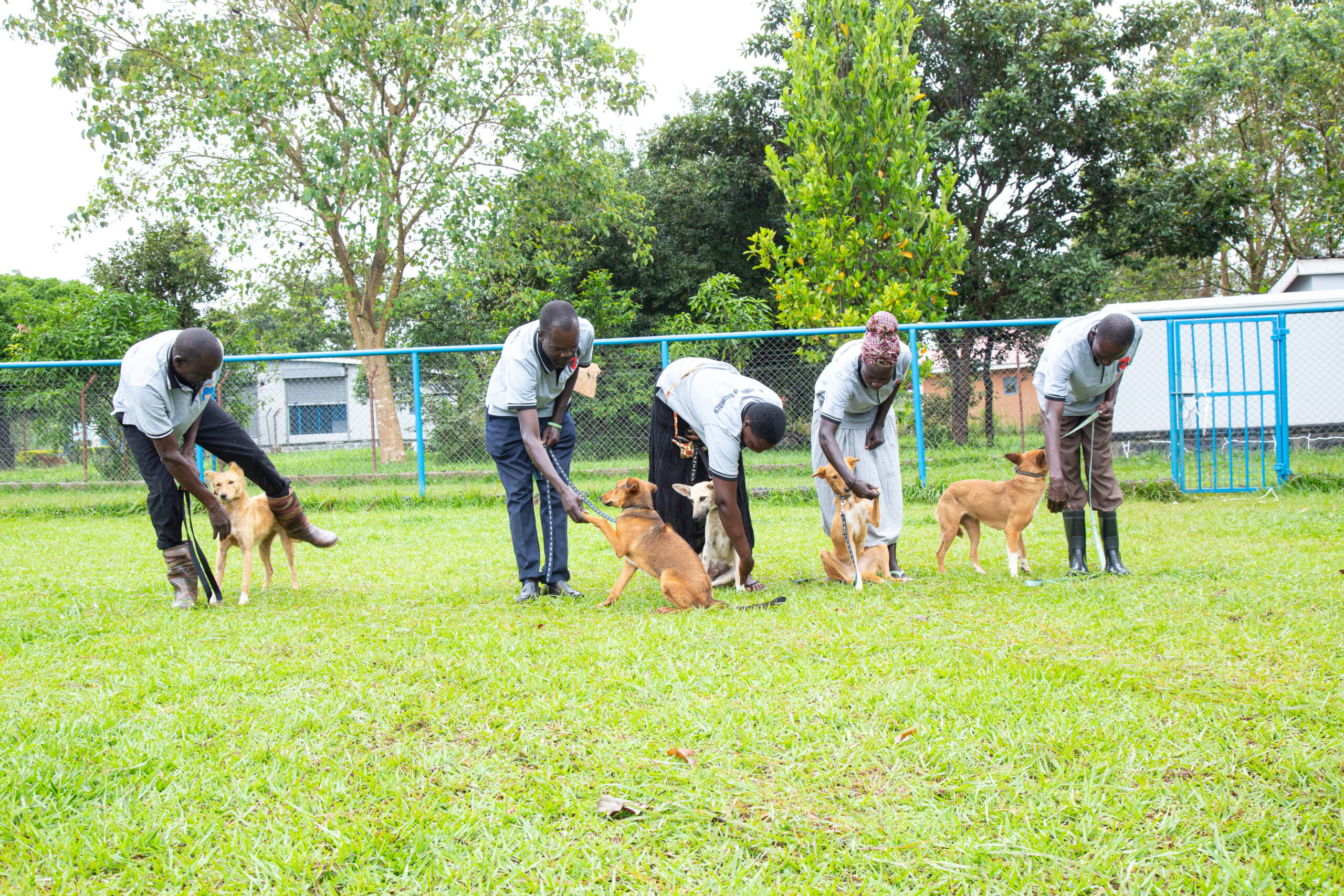 Guardians and their dogs participating in the dog games held by Big Fix Uganda in October each year to mark World Animal Day. Credit: Dan Ayebare and Richard Mugambe